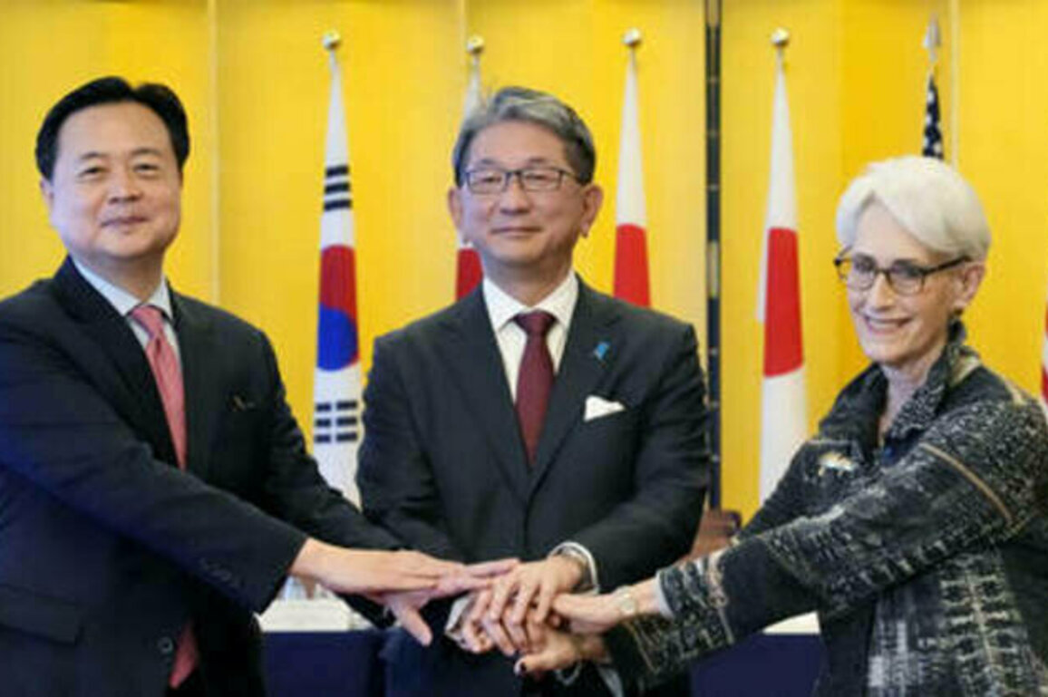US vows to protect allies with nukes
