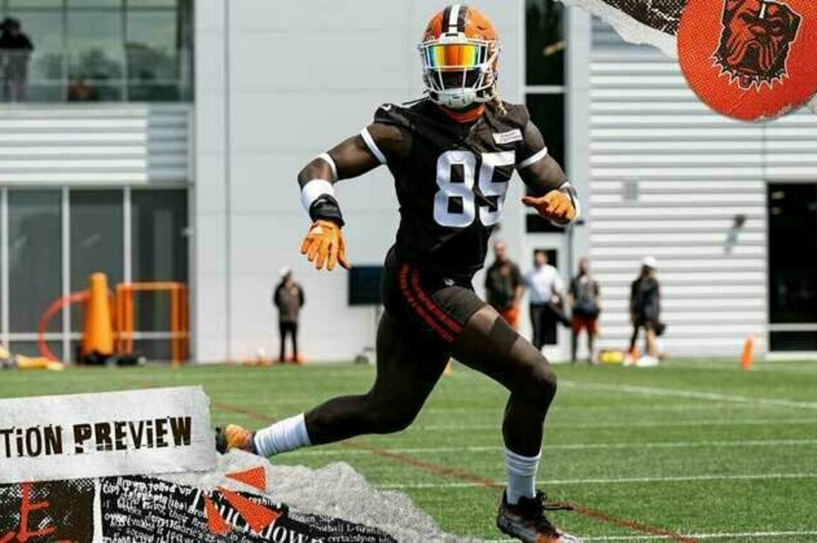 Looking at the Browns' tight ends | Position Preview