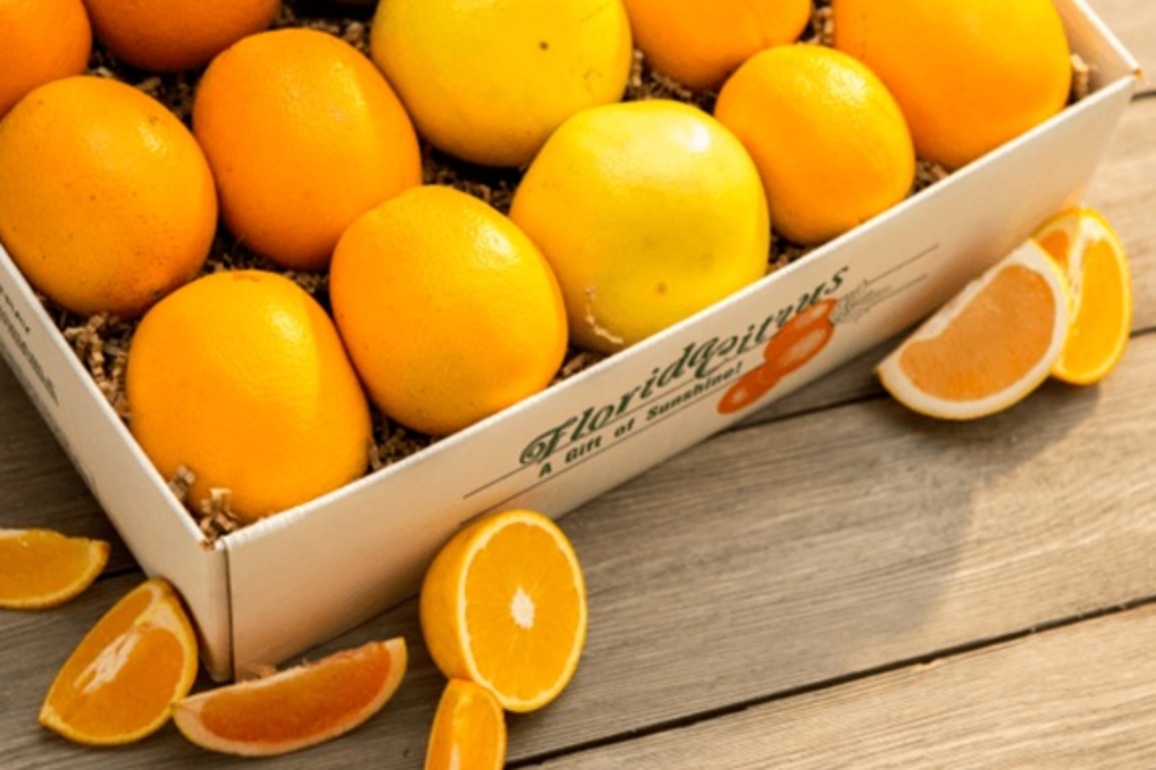 Governor DeSantis Appoints Ten to Florida Citrus Commission