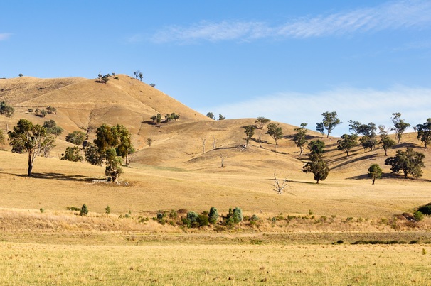 New resources are now available online via the Victorian Drought Hub.