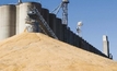 MECARDO: Has Australia lost its geographic advantage for grain?