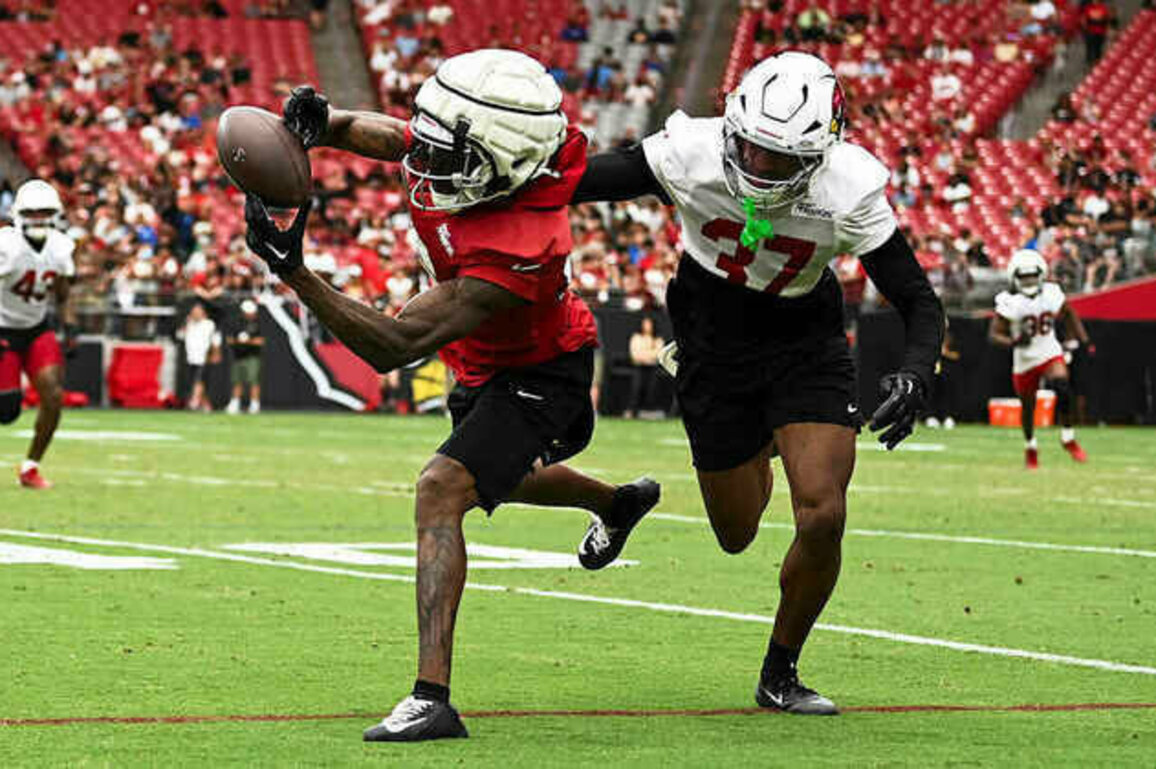 Cardinals Put Wide Receiver Quez Watkins On Injured Reserve