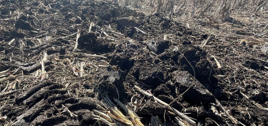 New research has shown there is potential for primary producers to be rewarded for good soil stewardship. 