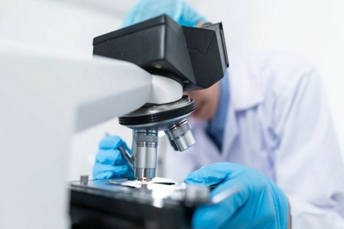 Study reveals impact of oft-overlooked cell in brain function