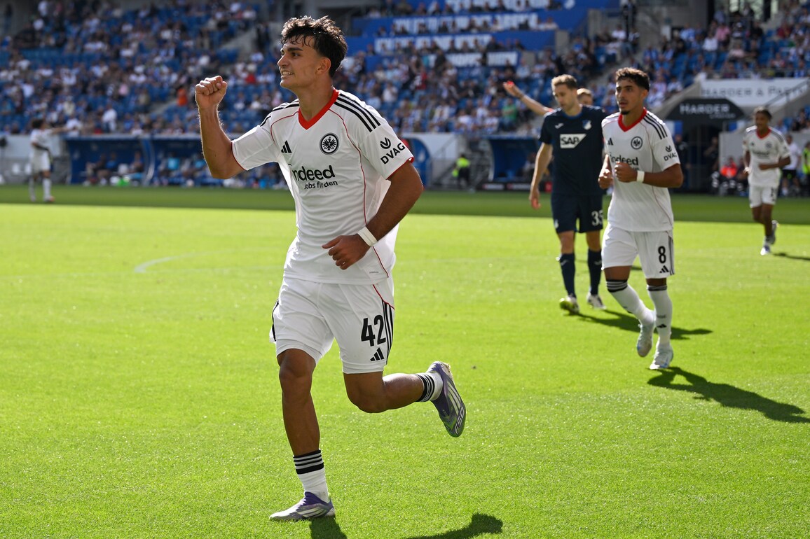 (SP)GERMANY-SINSHEIM-FOOTBALL-BUNDESLIGA-HOFFENHEIM VS FRANKFURT