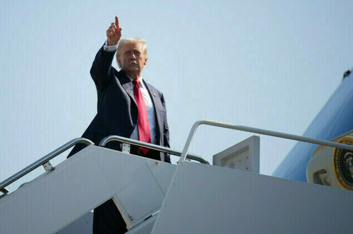 Immigration is killing Europe  Trump
