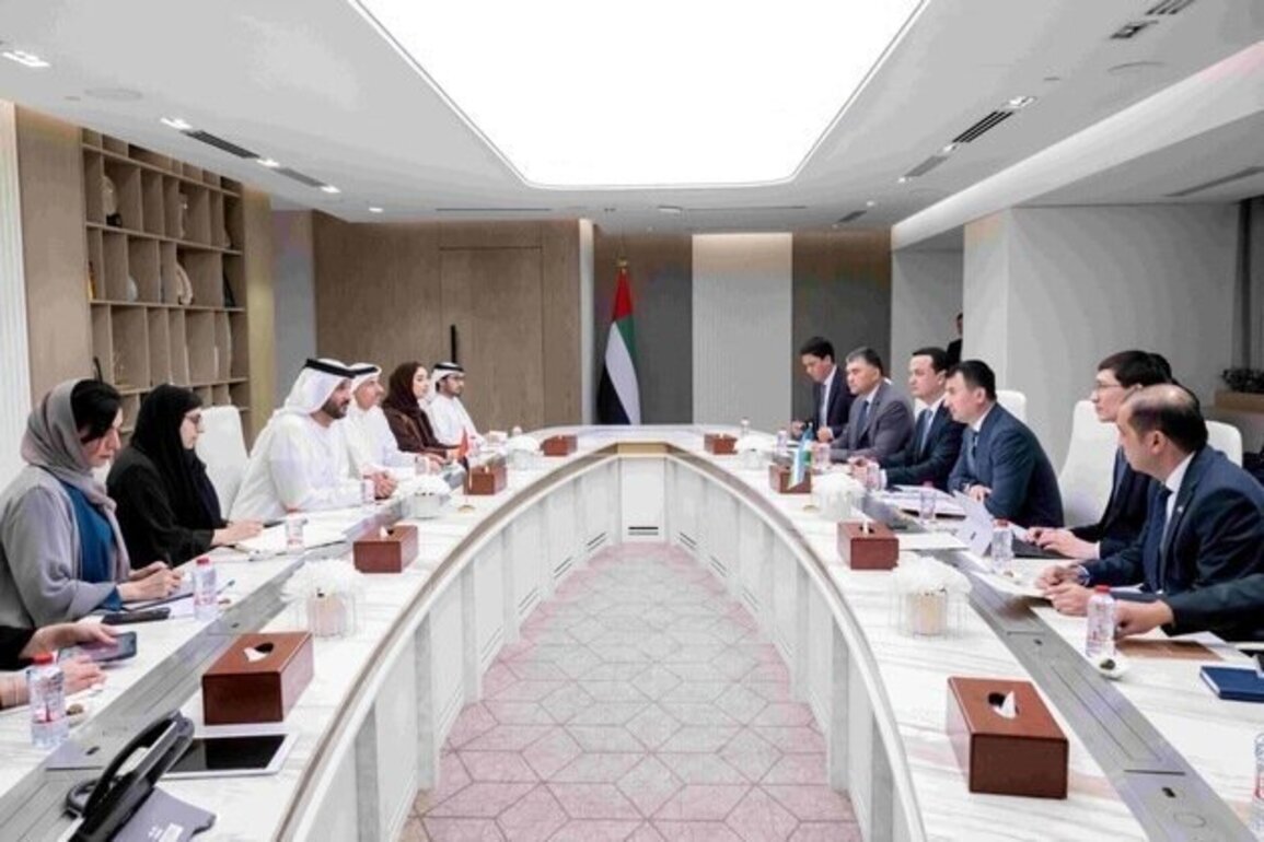 UAE, Uzbekistan discuss strengthening partnerships in new economy sectors