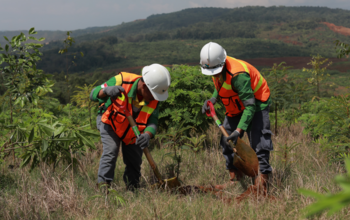 Miners' reclamation costs could overtake industry debt, Moody's warns