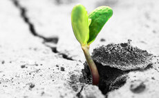 Cibus Fund receives Guernsey Green Fund status