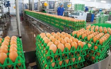 Bird flu egg labelling changes to reduce red tape