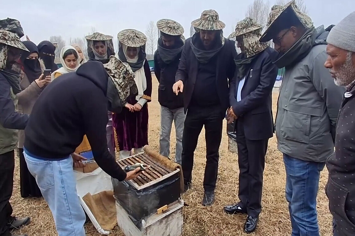 J-K: Kashmir apple farmers explore lavender, beekeeping for boosted income