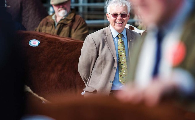 Backbone of Britain: Reflecting on 40 years in the show ring - 'The skills of stock people should never be cast aside'