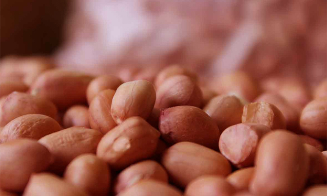 Man kills wife in row over groundnuts Man kills wife in row over groundnuts