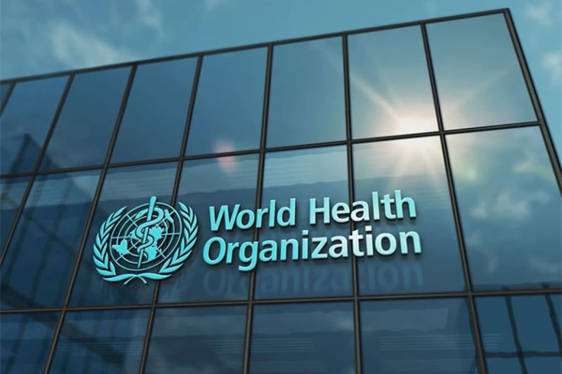 Global cholera situation continues to deteriorate: WHO