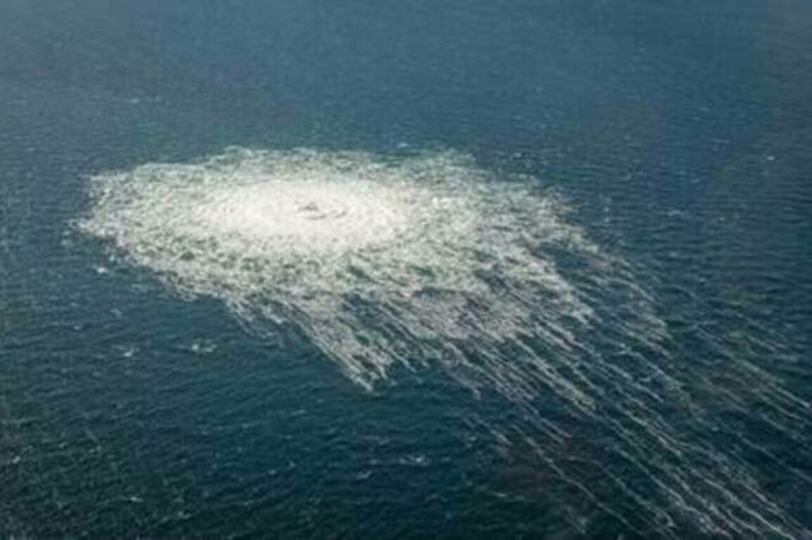 Ukrainian arrested in Italy over Nord Stream sabotage - German prosecutors