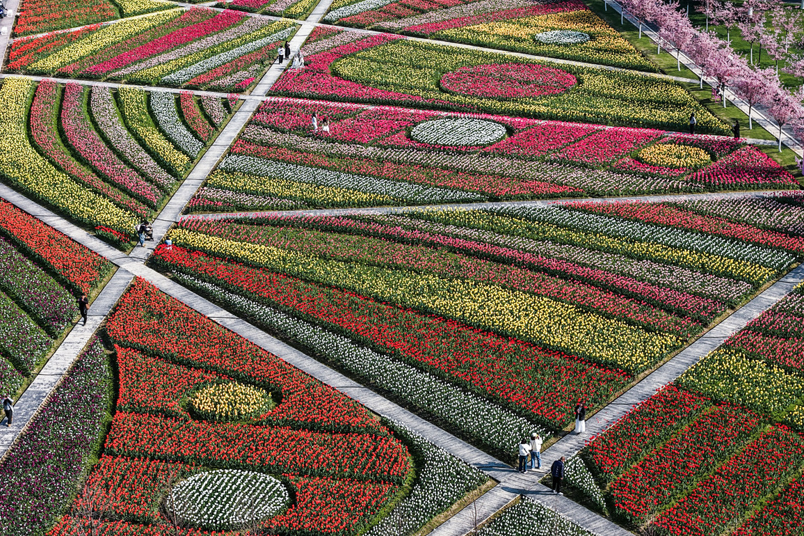 CHINA-ZHEJIANG-JINHUA-SPRING FLOWERS-TOURISM (CN)