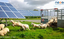 Grid-scale solar assets located on a farm in Australia  