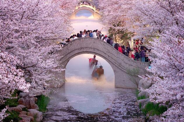Vibrant spring drives expansion in China's cultural, tourism market