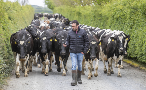 Partner Insight: Group monitoring takes guesswork out of herd management 