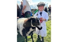 Little Lambers: "I asked mum and dad if I could get my own sheep for my birthday"