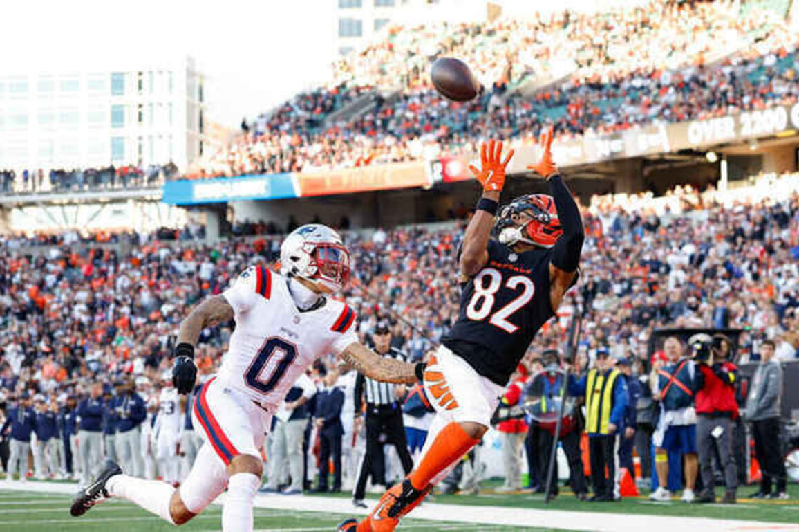 Bengals Empty The Reserves In Loss To Patriots