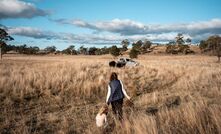 The Government is reportedly reconsidering its proposed changes to superannuation tax - which farming groups argue threaten farms held in SMSFs. 