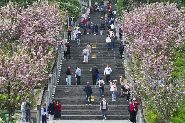 Qingming holiday spending mirrors China's robust economic vitality