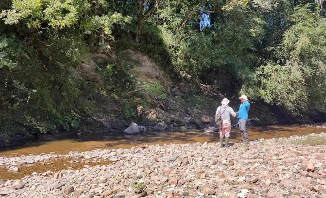 Pesquisadores buscam terras raras no RS