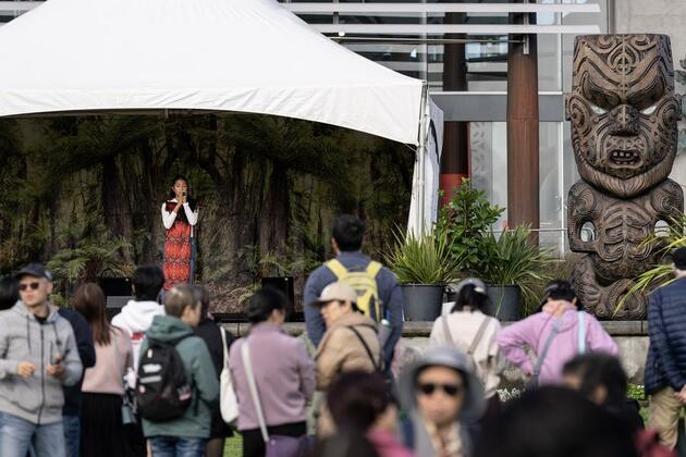 Album: Maori new year celebrated in New Zealand