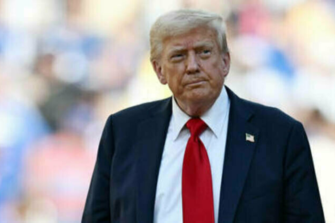 Trump believes Russia will win - Politico