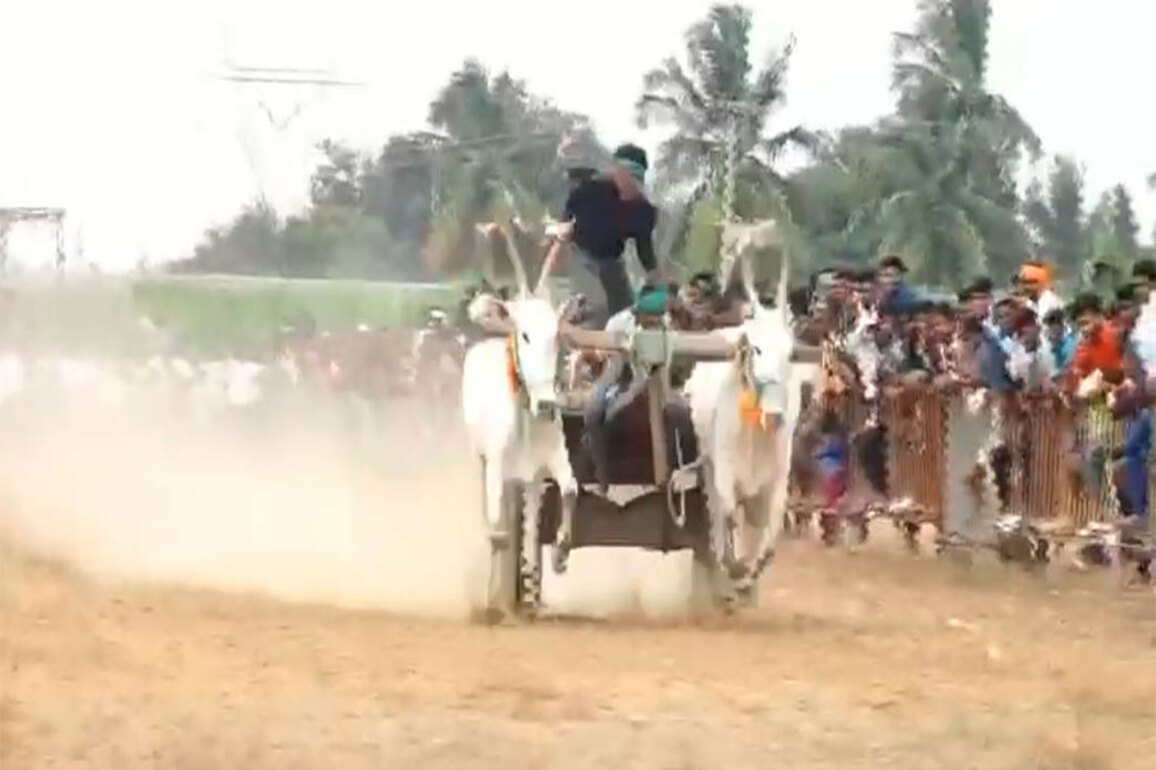 Chikkaballapur hosts Inter-State bullock cart race as part of Sankranti celebrations in Karnataka