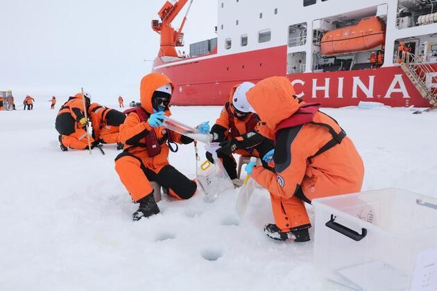 Chinese Arctic expedition finds anti-freeze fish beneath high-latitude ice