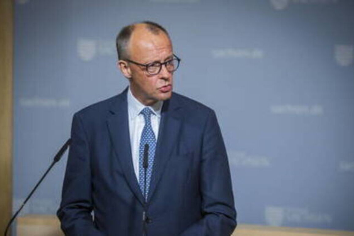Merz claims about Russian drones are 'lies' - opposition politician