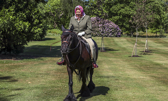 Queen Elizabeth, 94, rides out on Fell pony Queen Elizabeth, 94, rides out on Fell pony