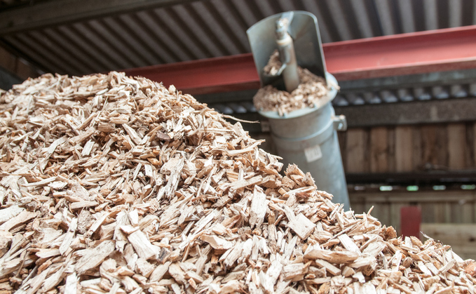 Woody biomass is a feedstock for biofuels | Credit: iStock