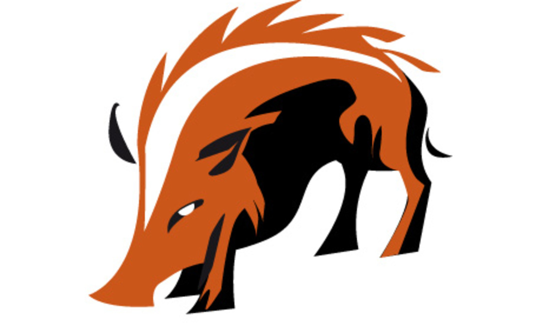 Miners need a mascot