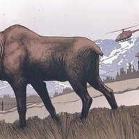 Moose have lived in Colorado for centuries - unpacking the evidence from history, archaeology and oral traditions