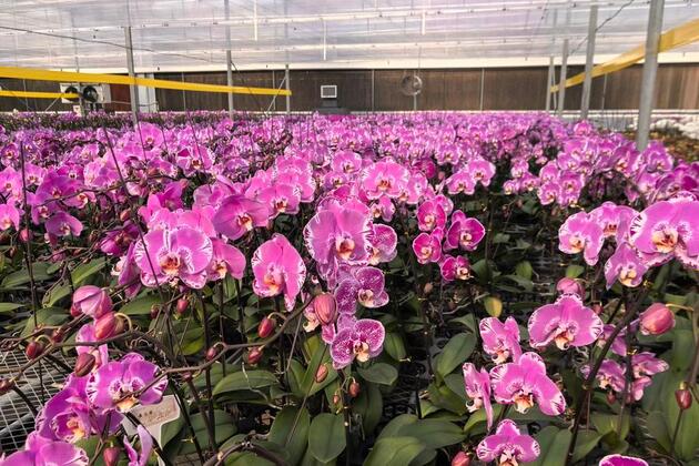 Geothermal energy fuels east China smog-free town