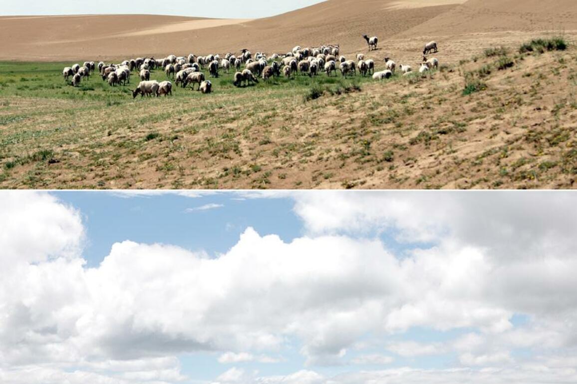 Tech innovations fuel China's desertification fight