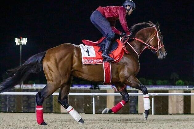 Forever young poised to make history at Dubai World Cup