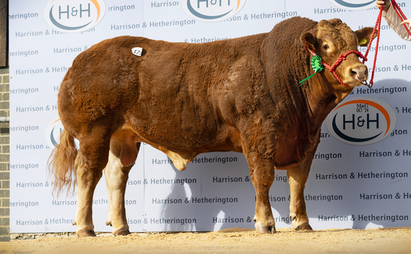 High of 18,000gns for Limousins at Carlisle