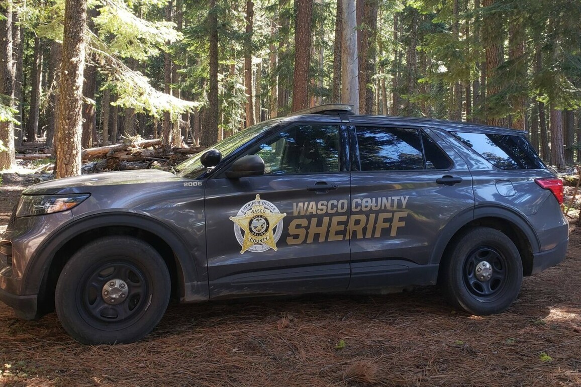 Arbitrator orders reinstatement of Ore. probation officer fired over Nazi salutes
