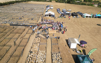 Breeding sheep in demand at Thame Sheep Fair | Sale Ring Stories Ep.2