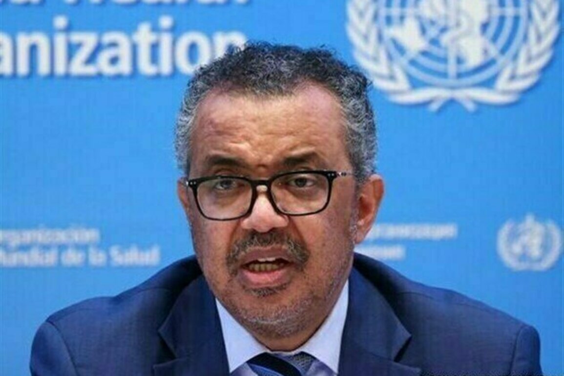 New Pandemic Inevitable, WHO Chief Asserts