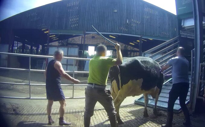 Arla farm suspended after undercover footage