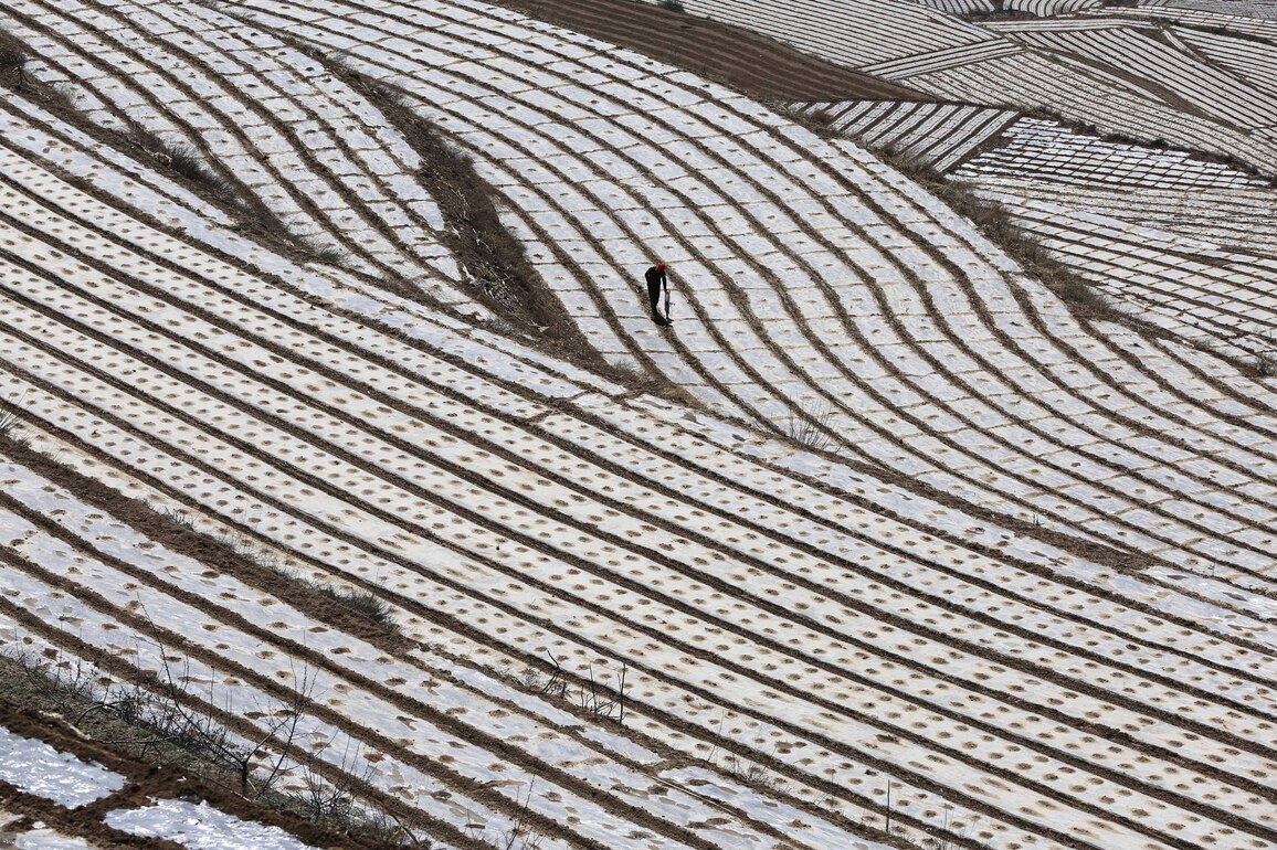 #CHINA-GANSU-TIANSHUI-SPRING FARMING (CN)