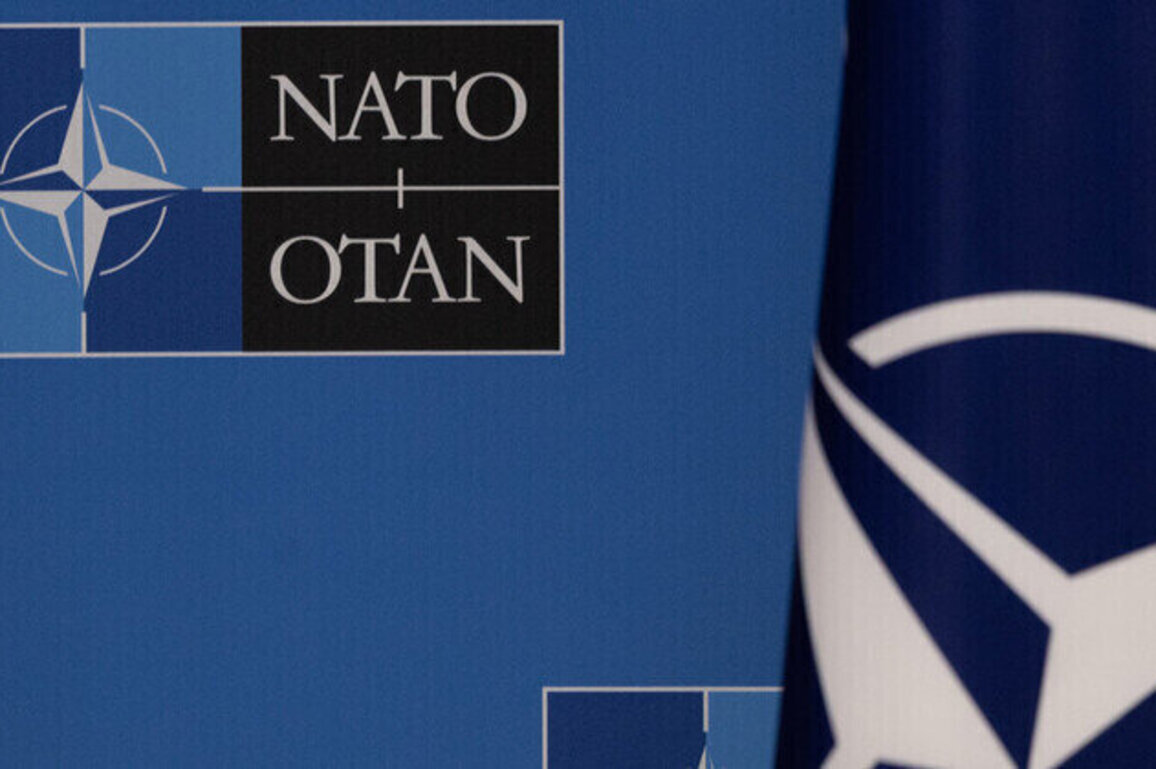 NATO holds secret meetings with movie makers  Guardian