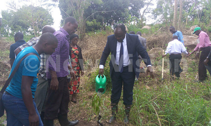 Bugema University goes green Bugema University goes green