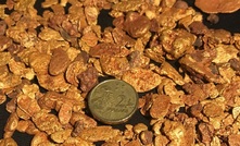 Gold nuggets from Purdy's Reward