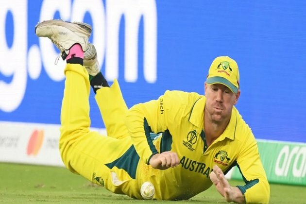 ICC CWC 2023: A look at best fielders, best fielding teams of the tournament